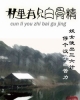 《村里有只白骨精》TXT下载（完结）作者：清歌一片